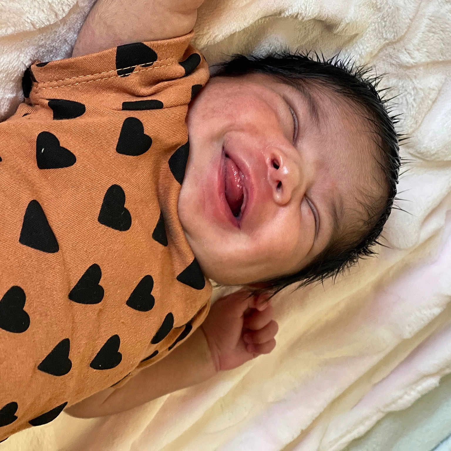 Alaia