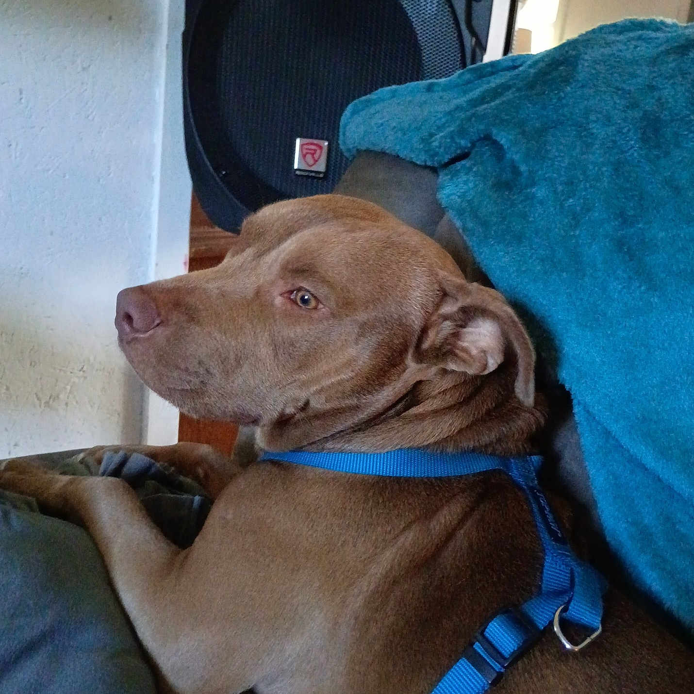 Copper