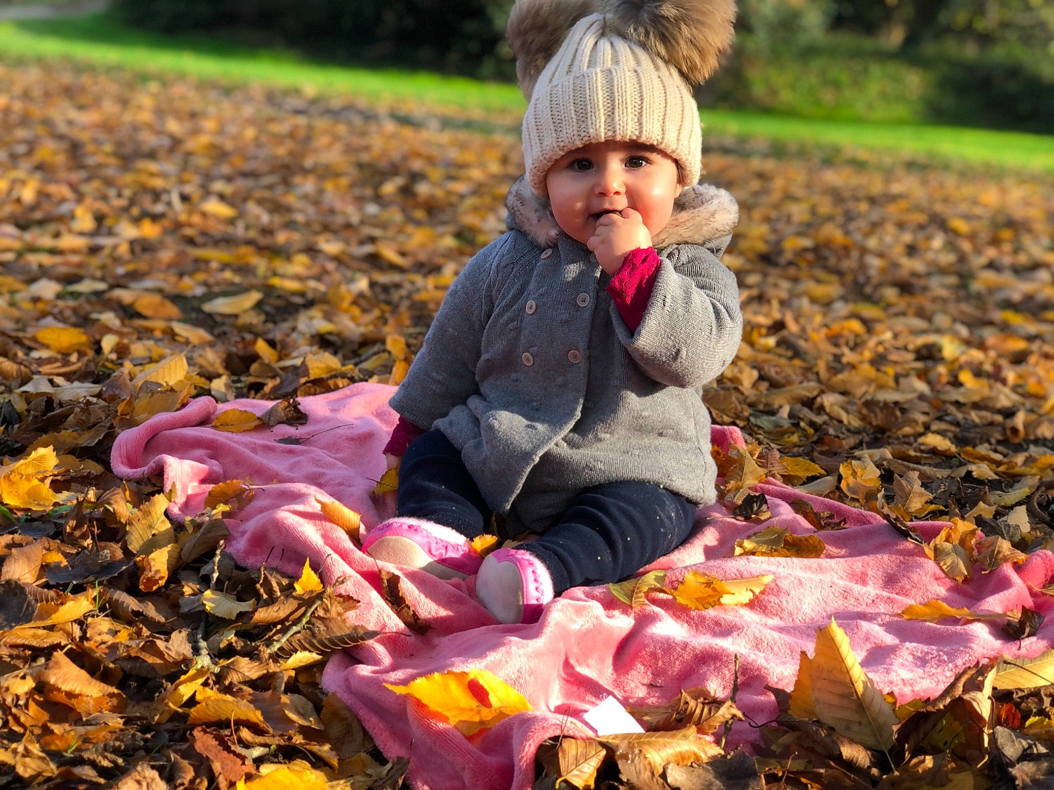 Amina participe au concours pour gagner de l'argent avec cette photo : autumn, baby, baby_toddler_clothing, beanie, bonnet, child, craft, deciduous, headwear, human, knit_cap, leaf, people_in_nature, person, toddler, wool, woolen