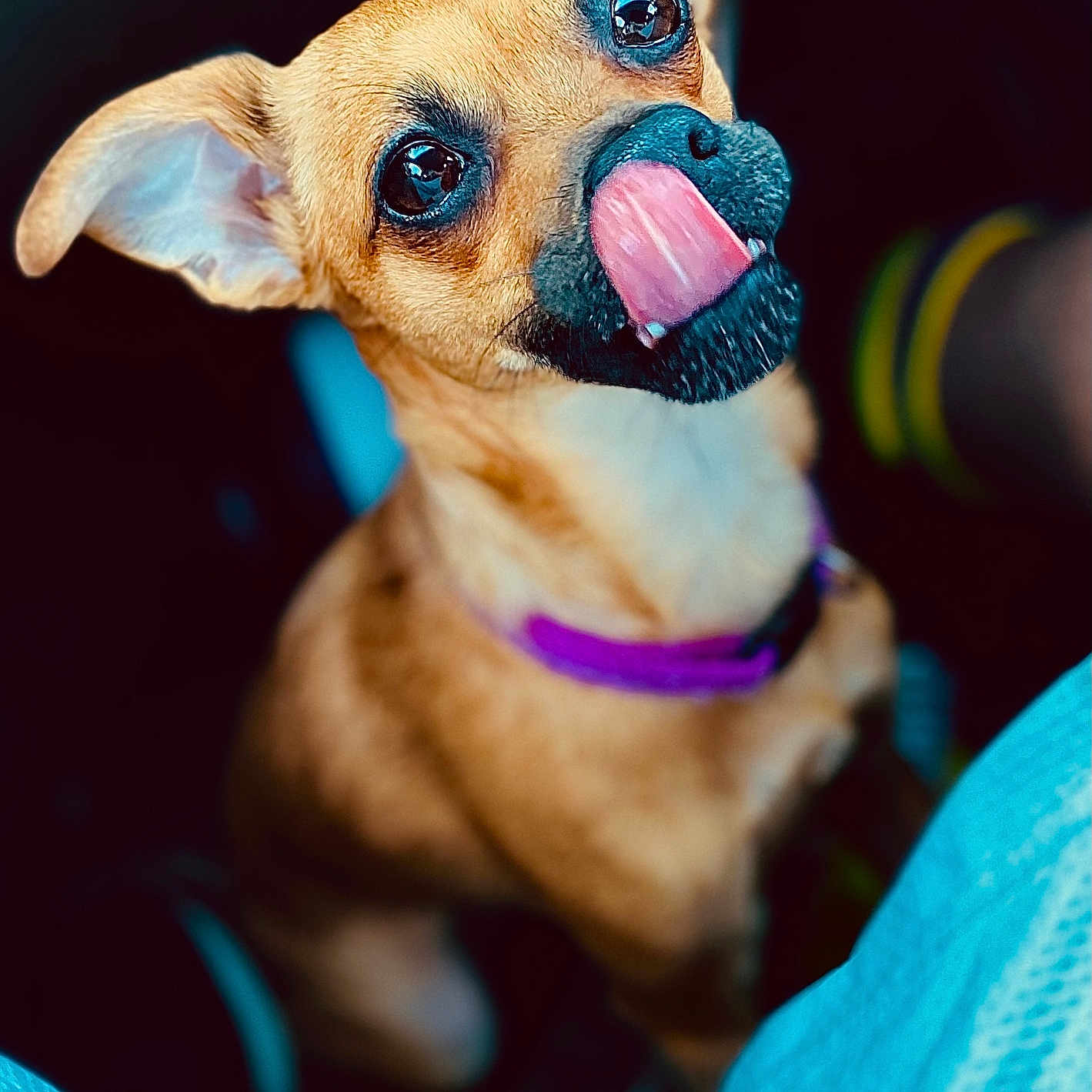 Luna Marie Barkswell