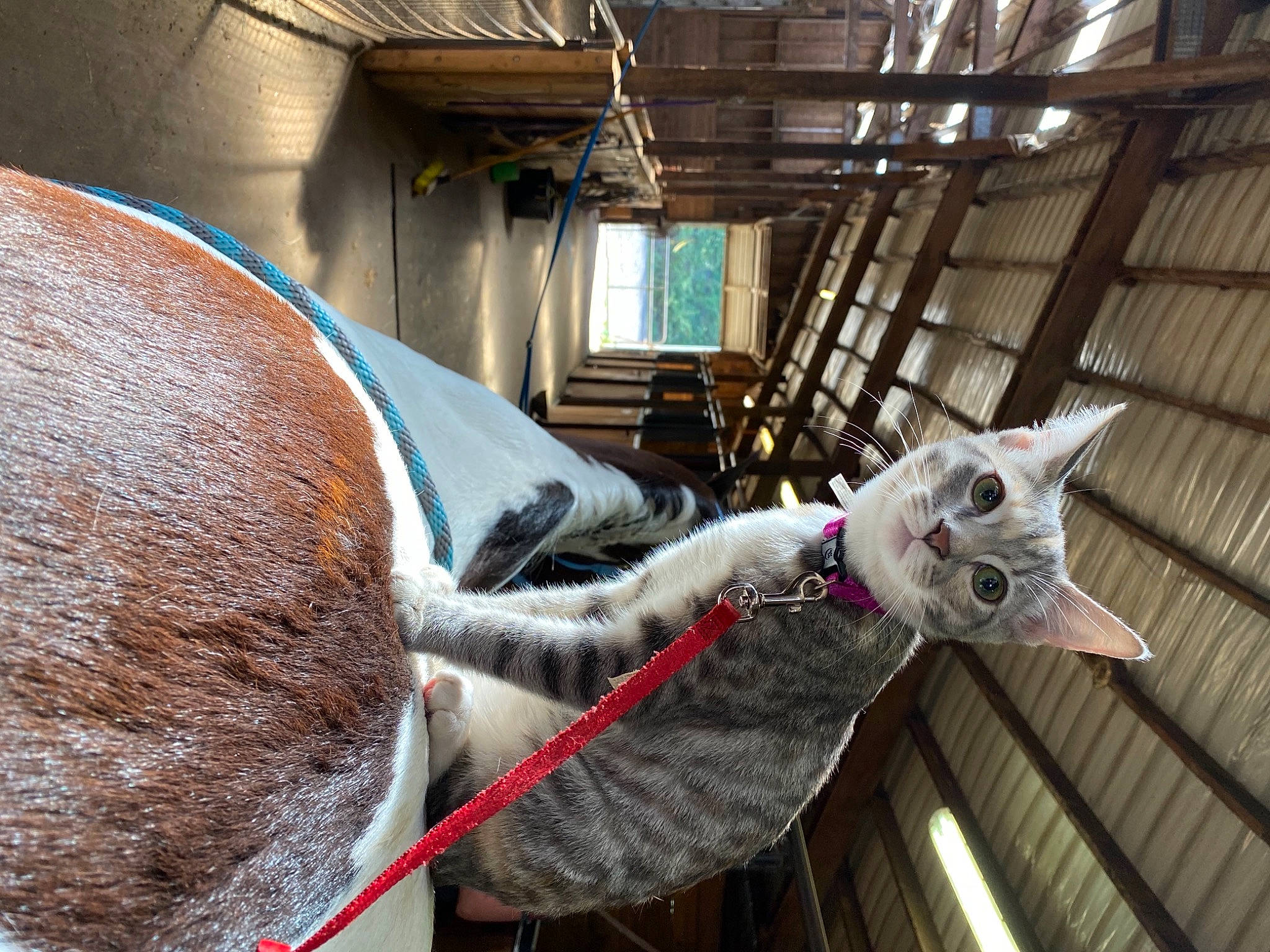 Kita is registered to the contest to win money with this photo: