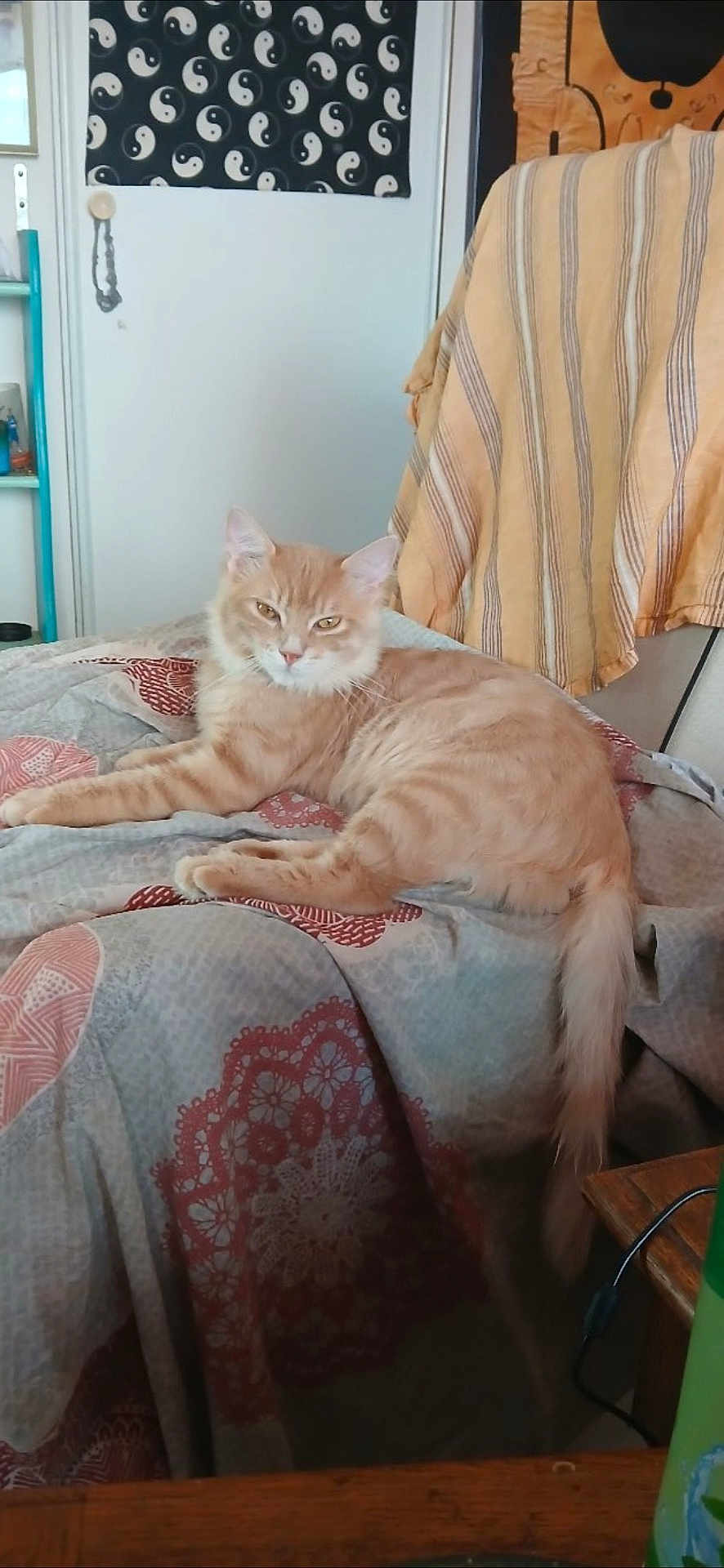Caramel