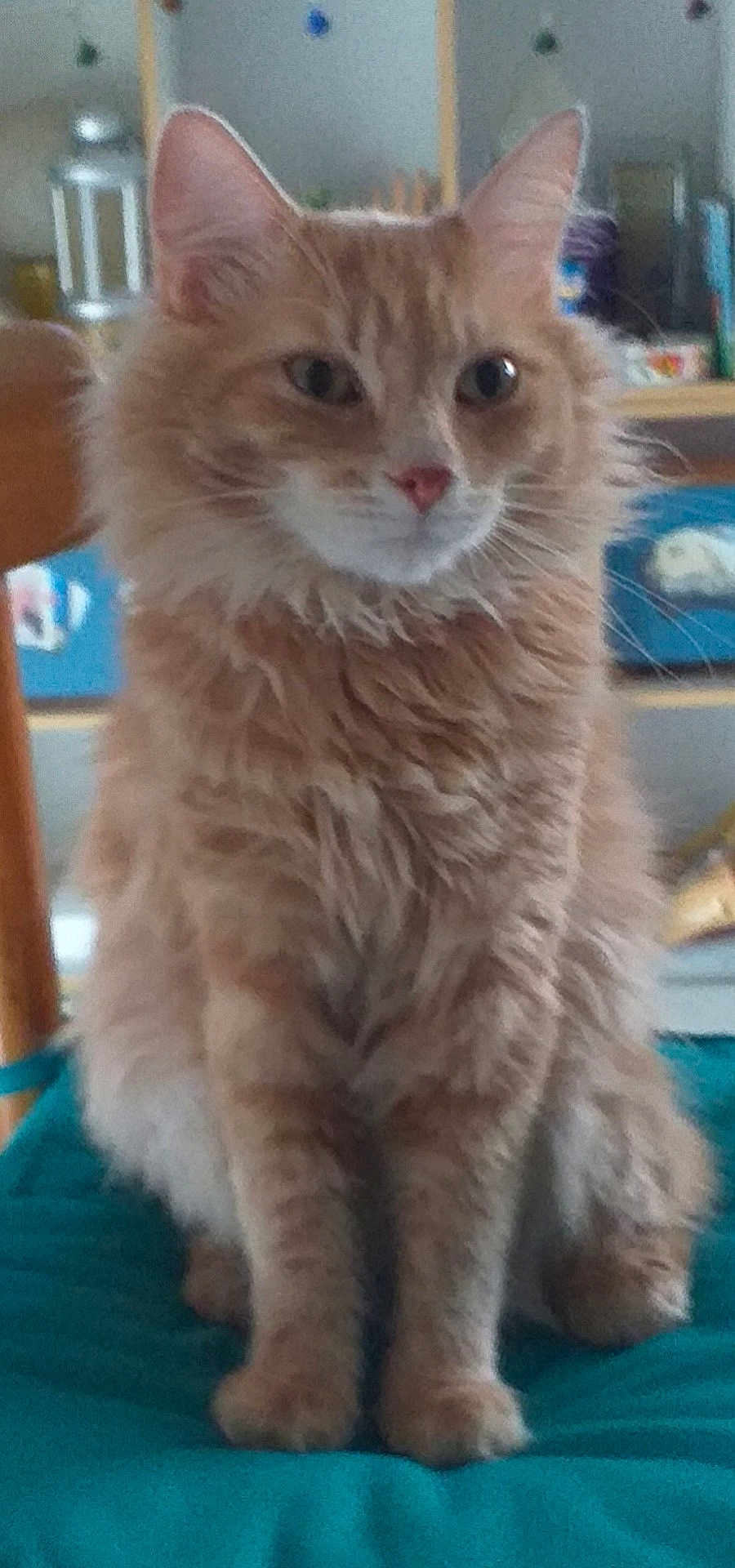 Caramel