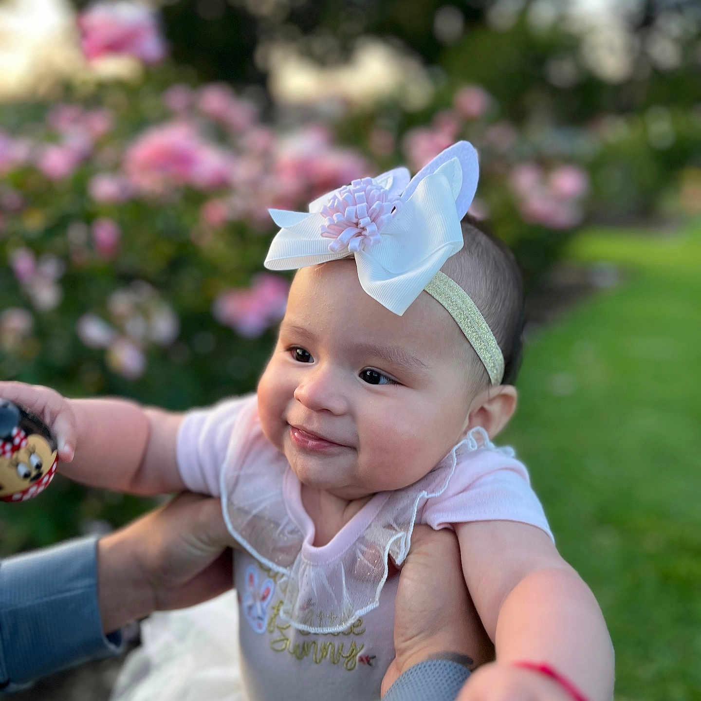 Ailani is registered to the contest to win money with this photo: accessories, baby, bodypart, clothing, dress, face, finger, flower, grass, hand, hat, head, jewelry, lawn, outdoors, person, petal, photography, plant, portrait