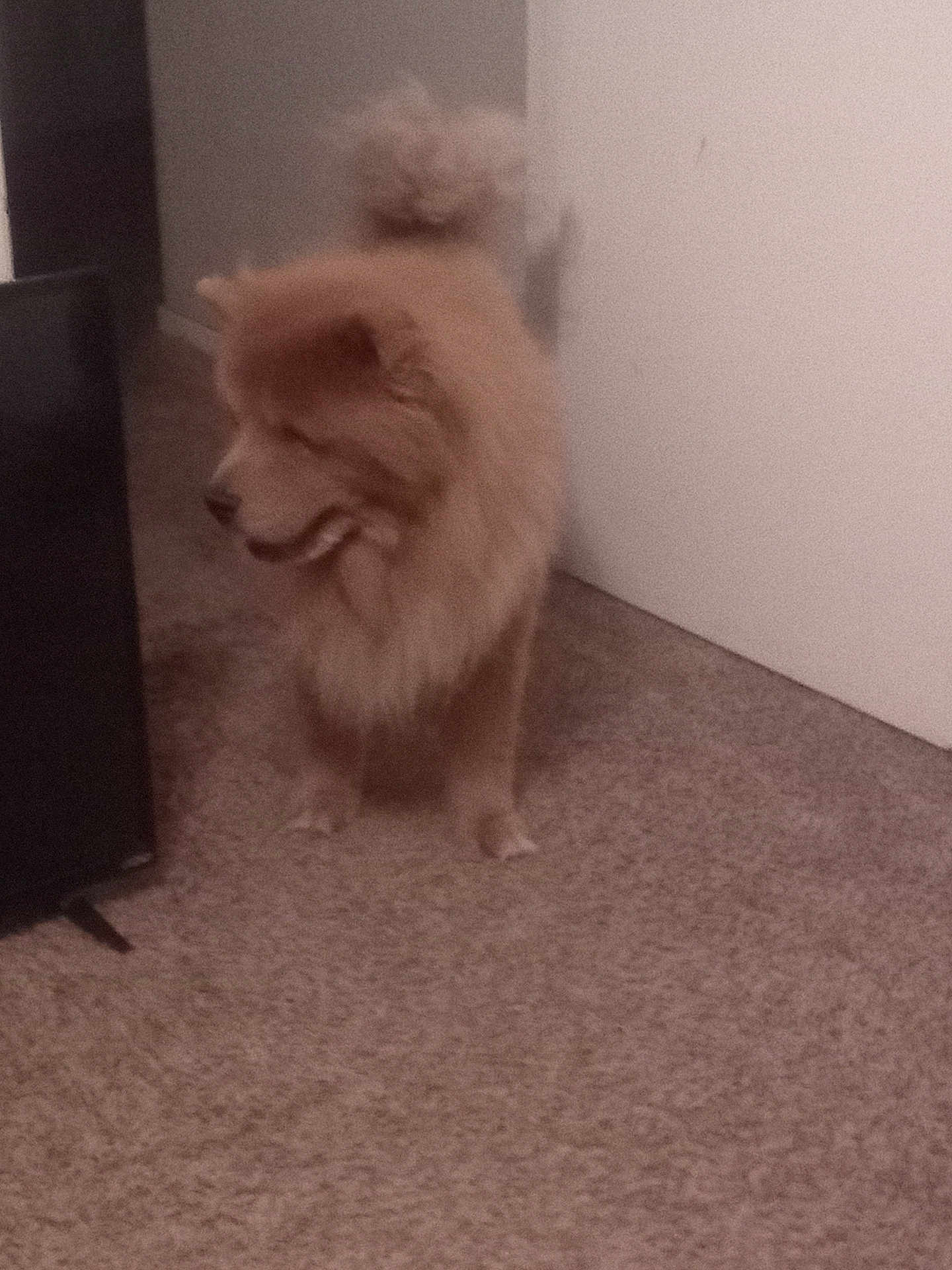 Charlie