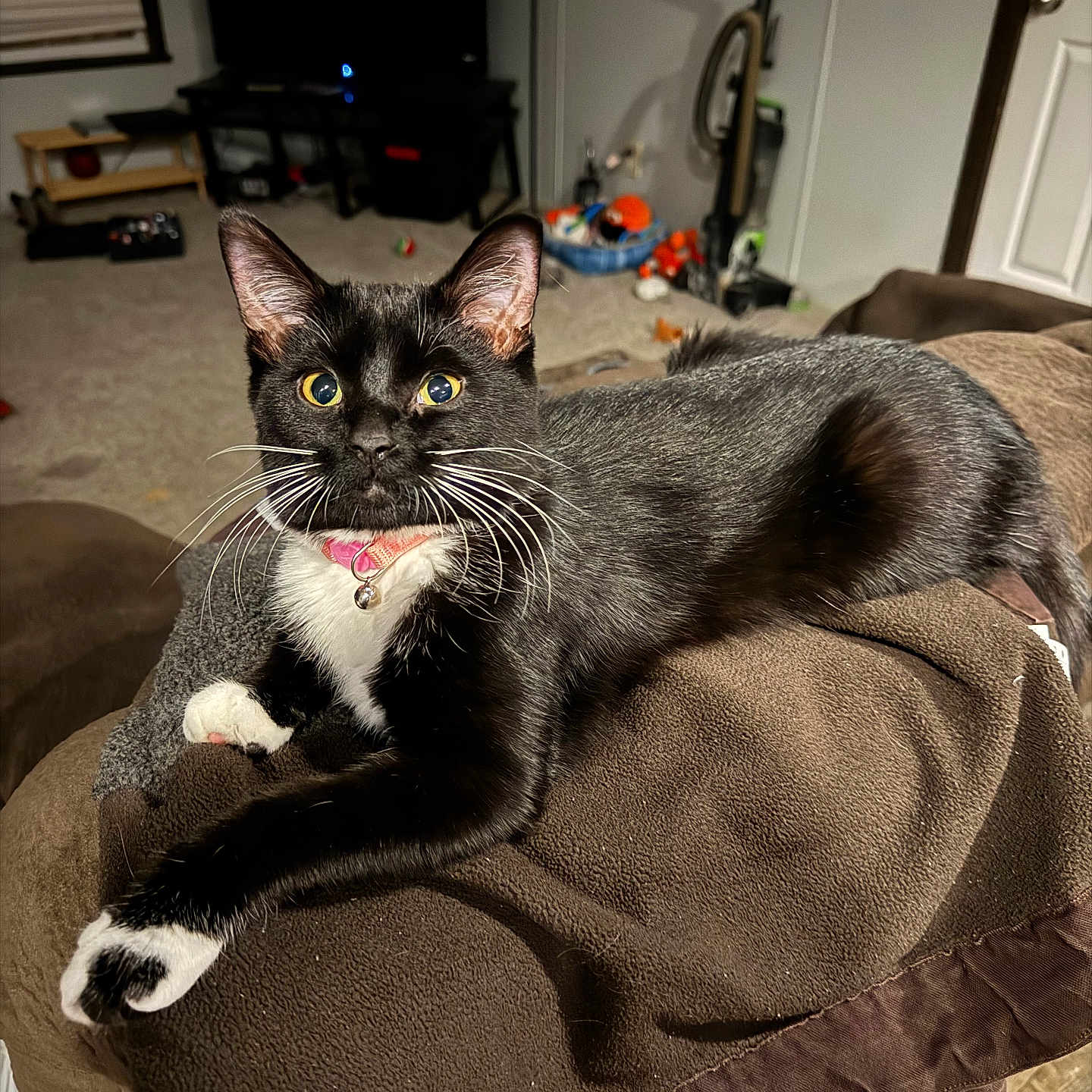 Mittens
