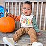 autumn, bench, brick_wall, casual, child, clothing, colorful, curious, cute, fall, outdoor, person, pumpkin, seat, shoes, sweater, toddler, turkey, wood, young_child