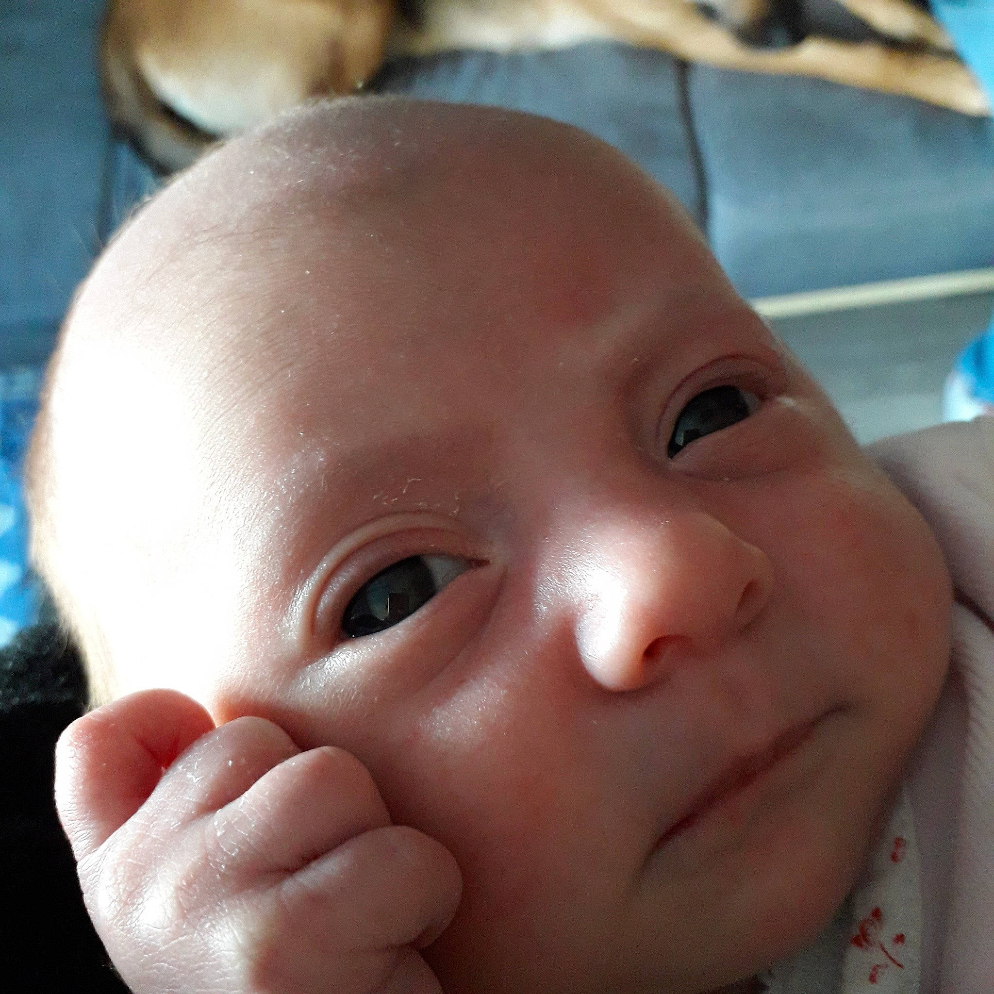 Kaëlys a rejoint le concours — aidez-le/la à gagner de superbes lots ! baby, cheek, child, chin, close_up, ear, eye, face, facial_expression, forehead, head, iris, lip, mouth, nose, person, skin, toddler