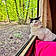 Choukar