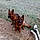 Therese C.