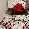cat, gray_cat, fluffy_cat, red_bow, hello_kitty, quilt, bed, indoor, pet, animal, feline, cute, cozy, gift, decor, relaxed, lying_down, whiskers, ears, fur
