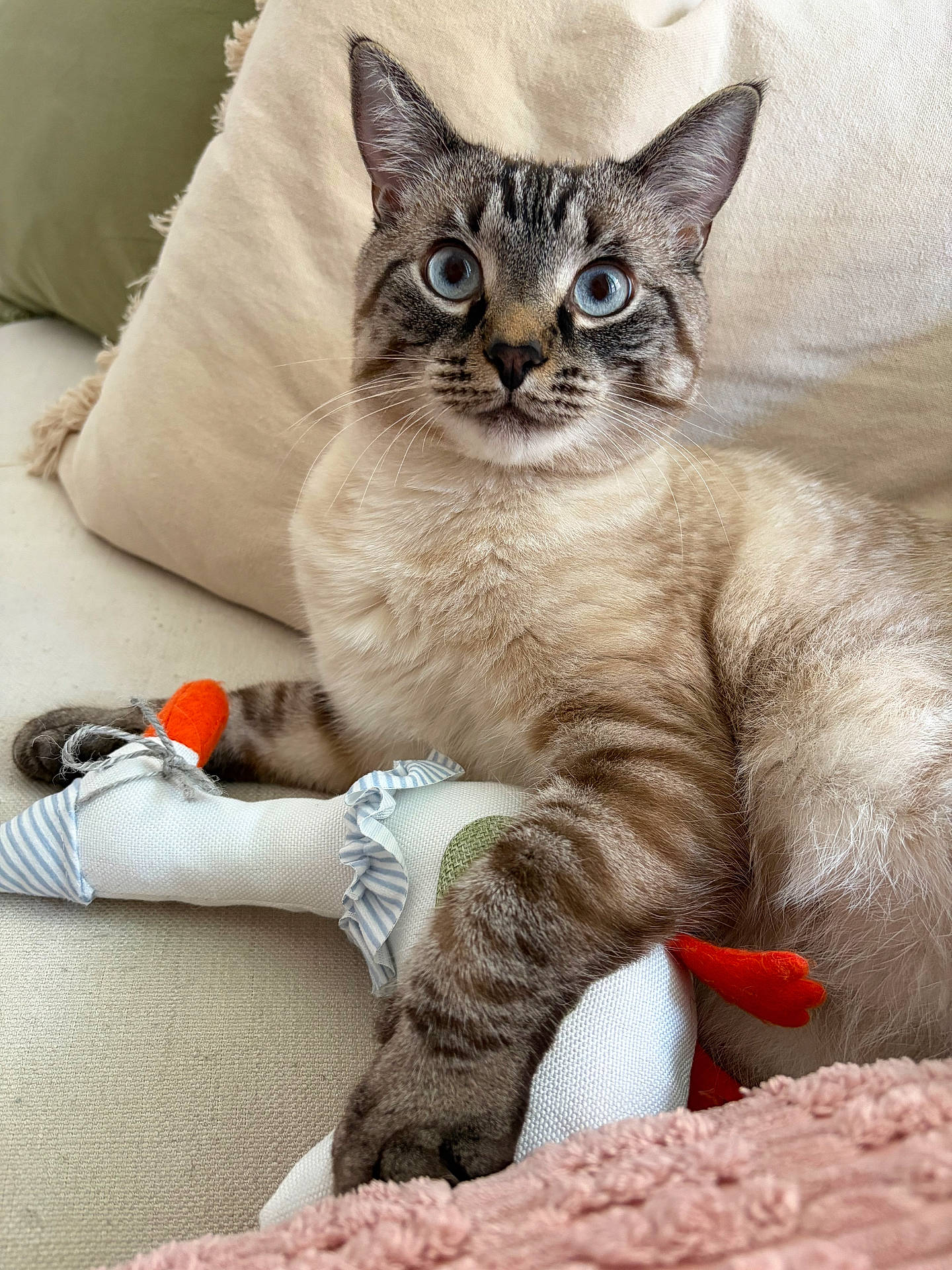 Winston