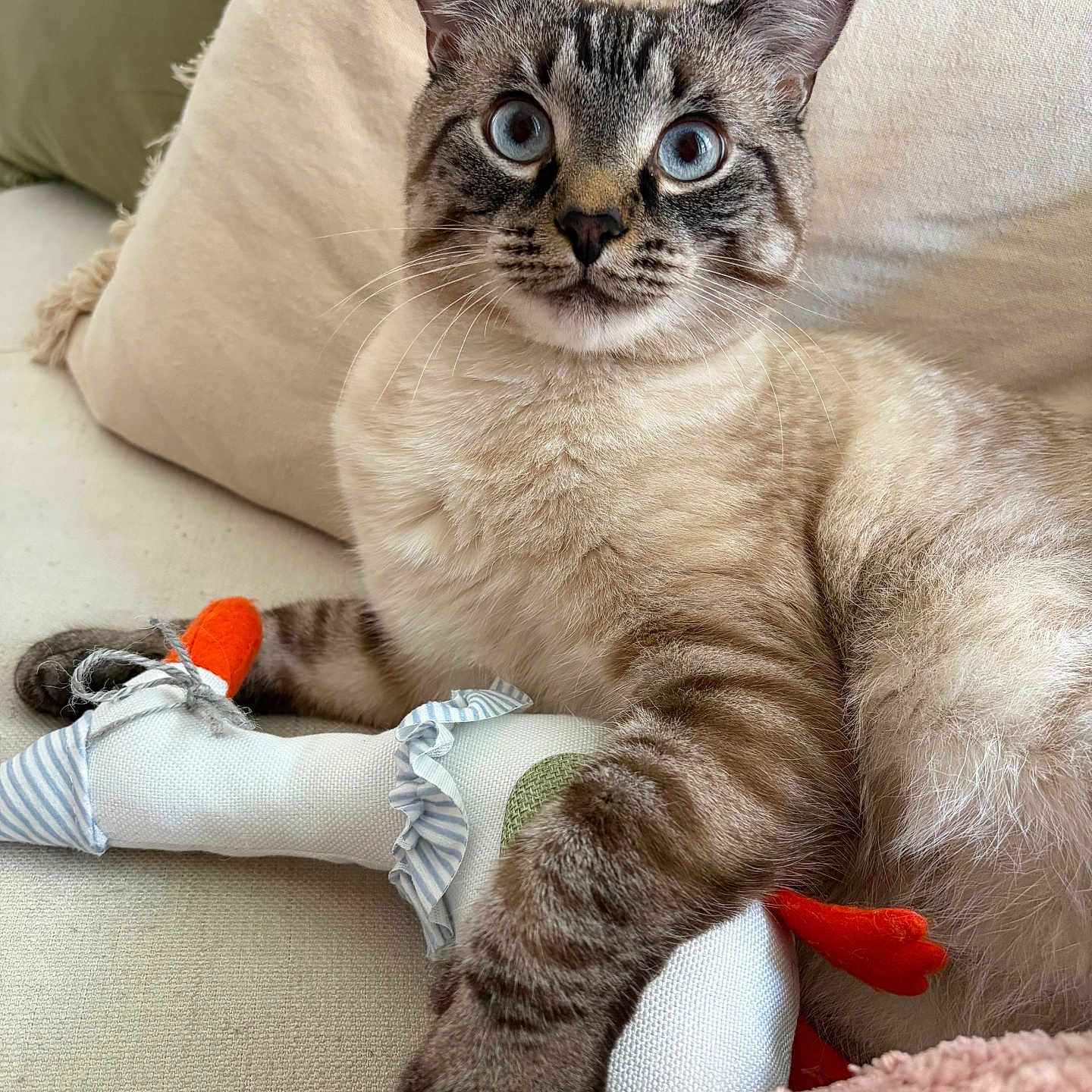 Winston