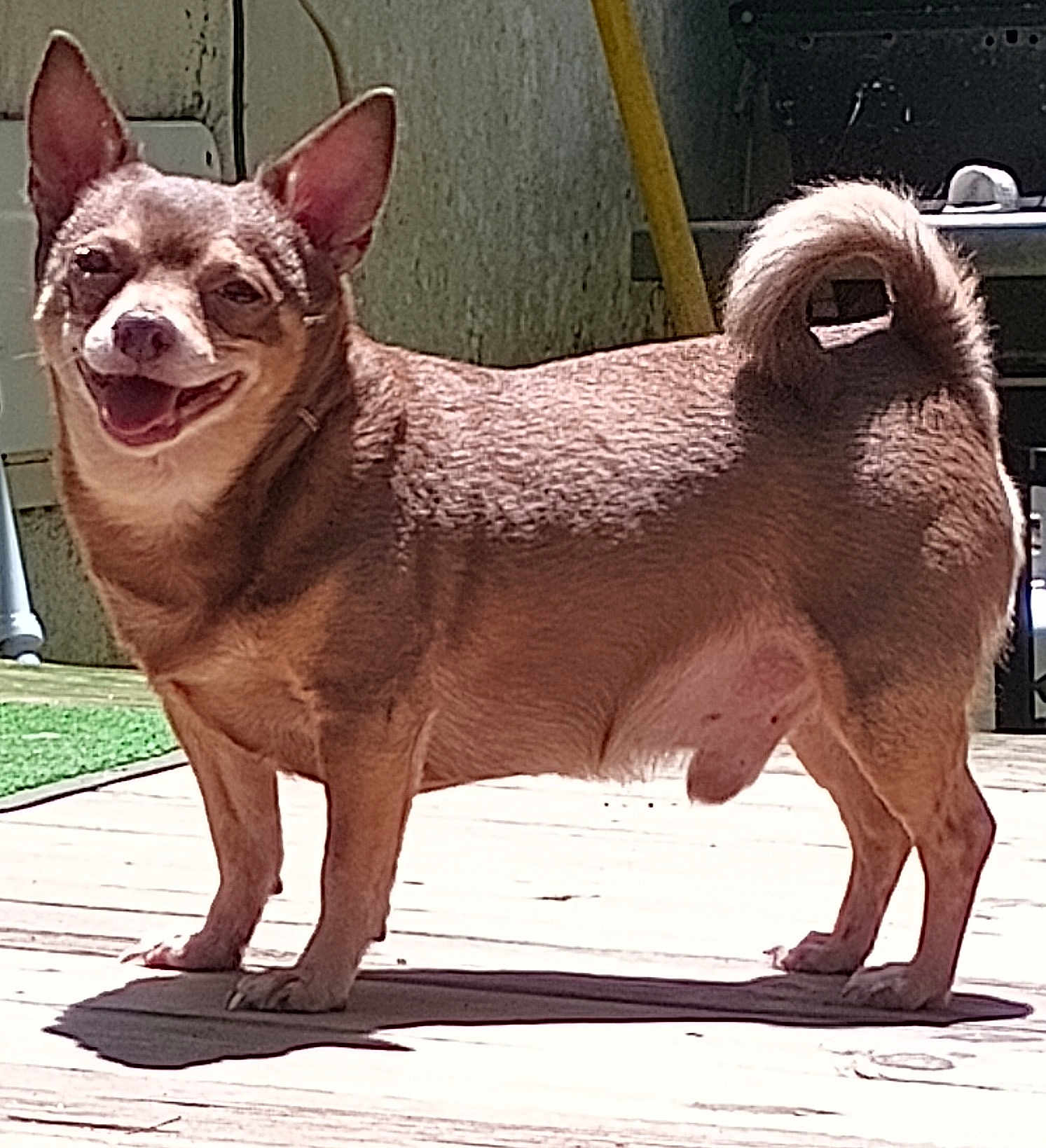 Coco