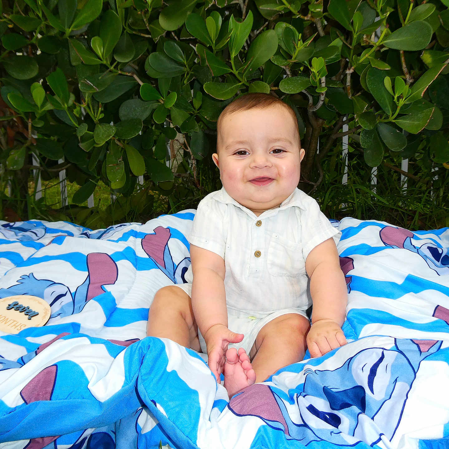 Thiago is registered to the contest to win money with this photo: baby, child, smiling, outdoor, blanket, greenery, foliage, happy, sitting, cute, infant, nature, portrait, clothing, shorts, grass, daylight, playful, young, cheerful