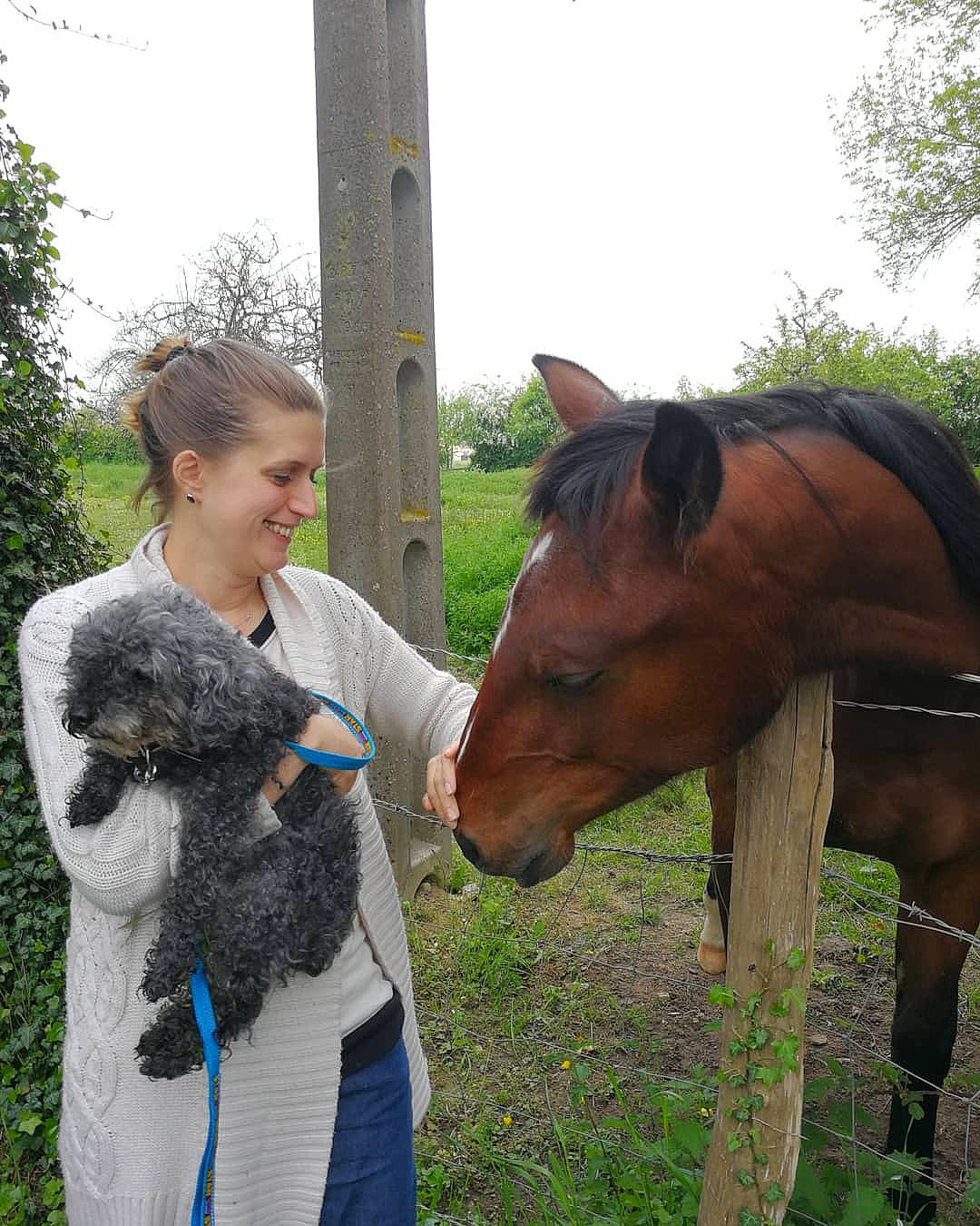 Voxy a rejoint le concours — aidez-le/la à gagner de superbes lots ! bridle, horse, horse_grooming, horse_supplies, horse_tack, joy, mammal, mane, mare, pack_animal, person, pony, riding_instructor, vertebrate, working_animal