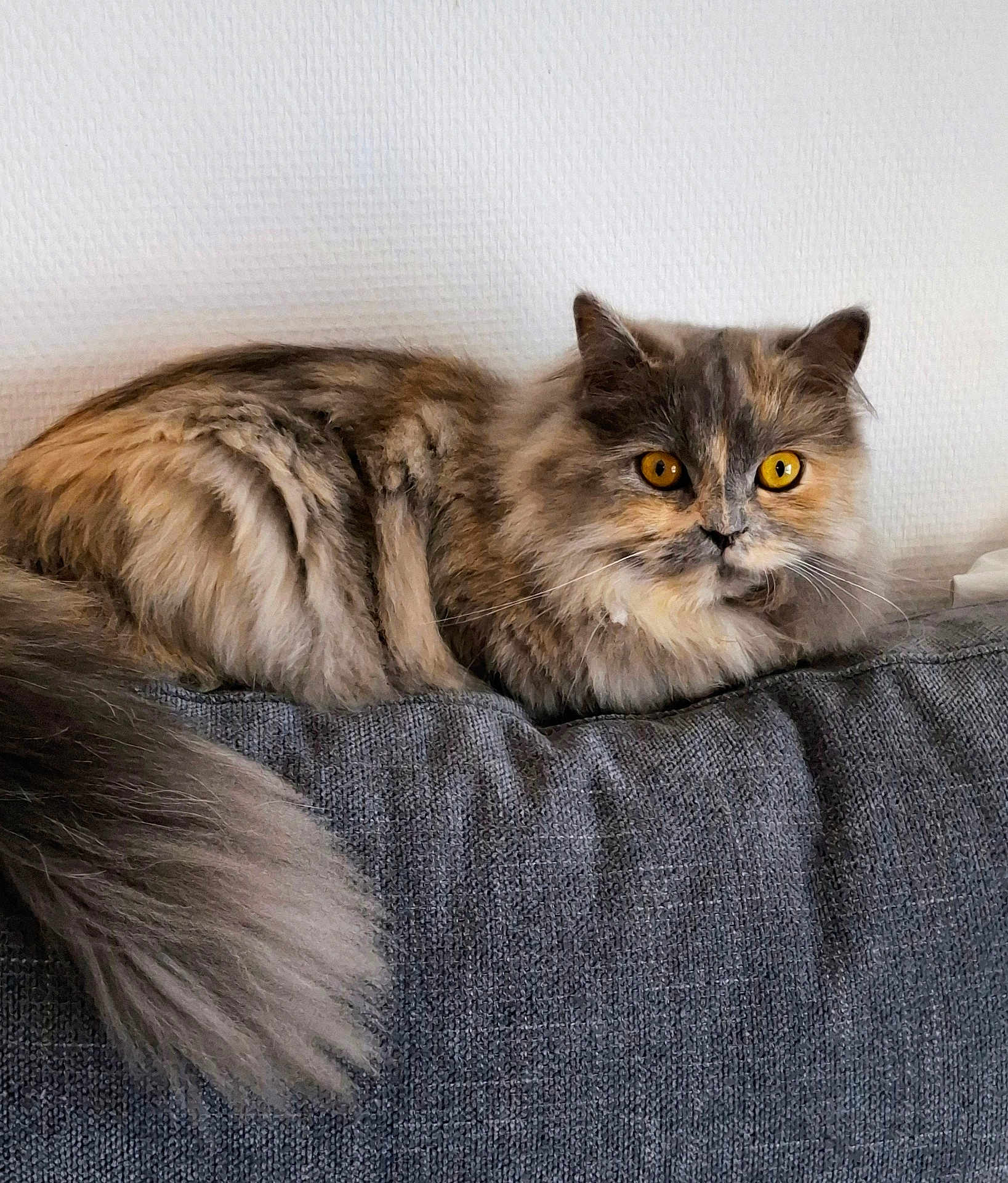 Smoky