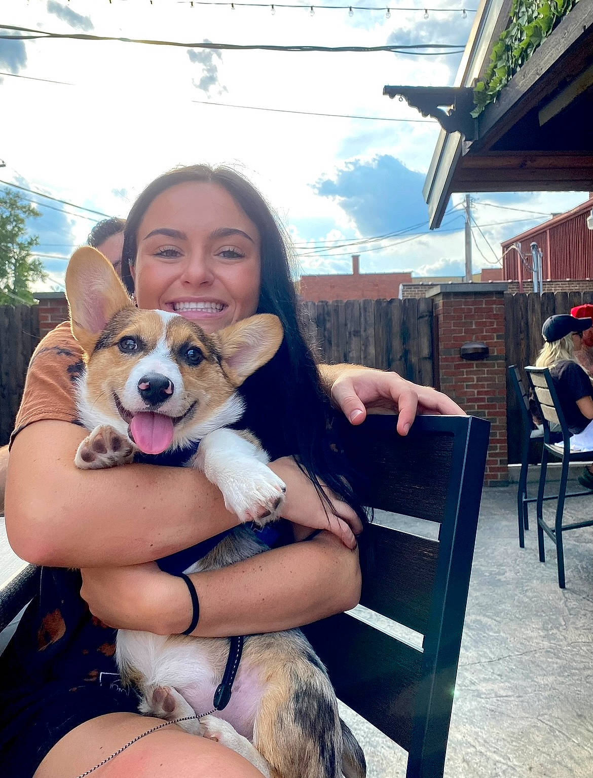 Tito joined the competition — help win amazing prizes! canidae, carnivore, chair, companion_dog, dog, dog_breed, event, eyewear, fawn, fun, happy, human_leg, leisure, recreation, sitting, sky, smile, sporting_group, thigh, travel