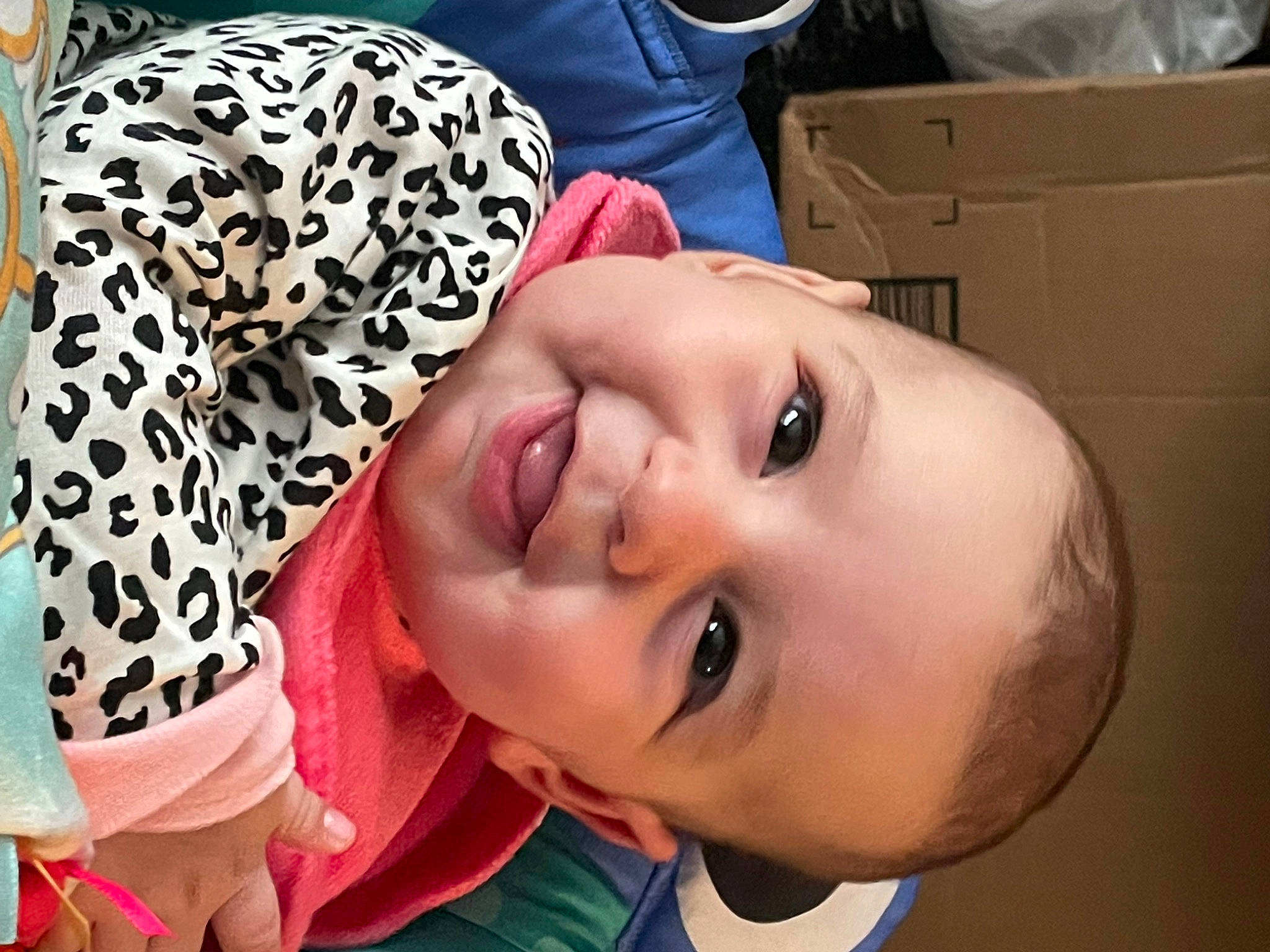 Aspen joined the competition — help win amazing prizes! cheek, child, comfort, eye, eyebrow, eyelash, facial_expression, fun, happy, headgear, jaw, joy, lip, mouth, neck, nose, person, shipping_box, skin, sleeve