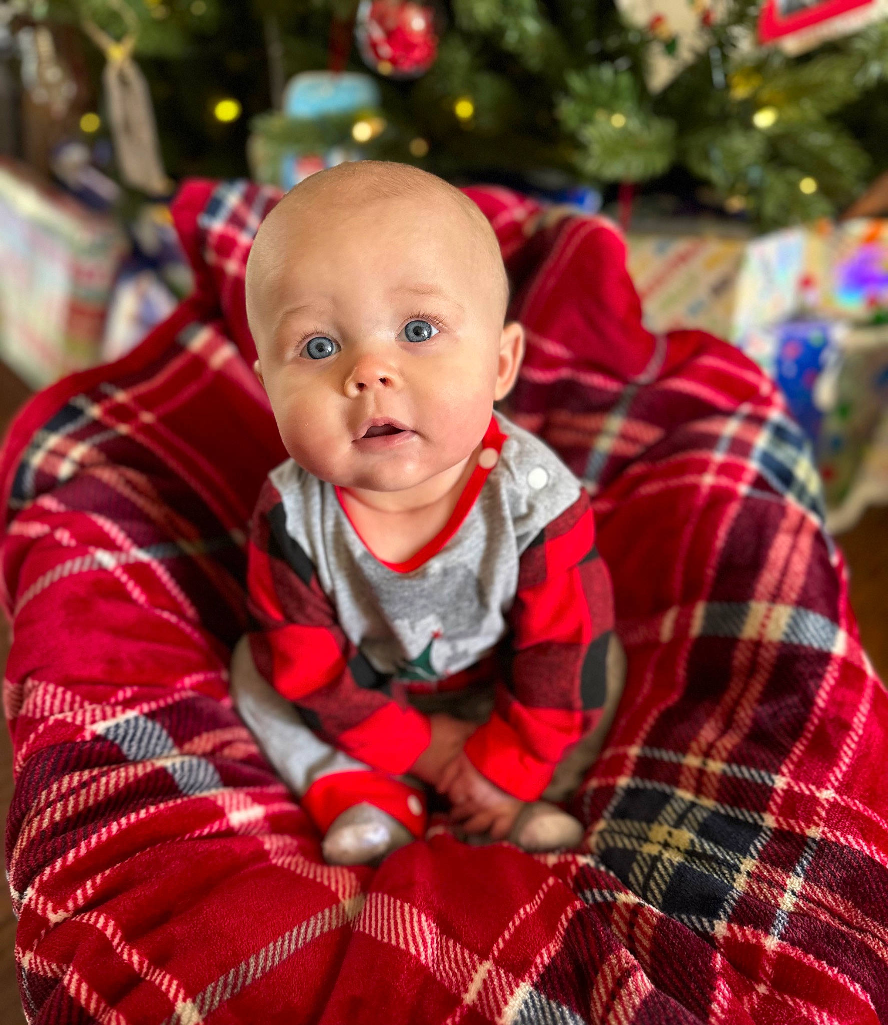 Carter is registered to the contest to win money with this photo: baby, baby_toddler_clothing, christmas, christmas_decoration, christmas_ornament, christmas_tree, event, eye, fun, happy, holiday, light, pattern, person, plaid, plant, red, sleeve, surprise, tartan
