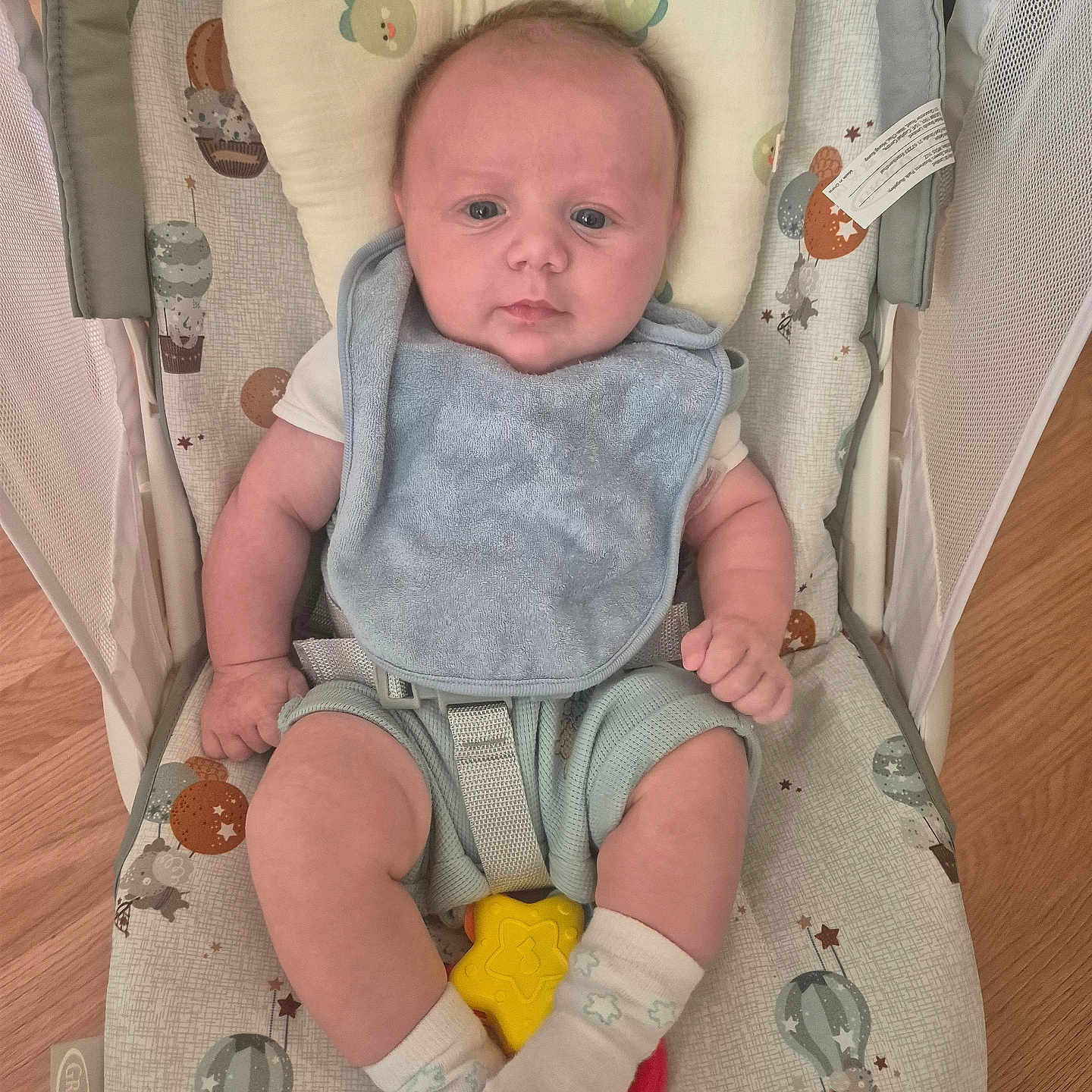Henley joined the competition — help win amazing prizes! baby, baby_rocker, baby_toy, bib, bunny_ears, calm, clothing, cushion, face, floor, headrest, hot_air_balloon, indoor, infant, pattern, person, seated, socks, toy, wooden_floor