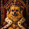 Flocki participe au concours pour gagner de l'argent avec cette photo : animal, closeup, crown, cute, decorative, dog, expression, fancy, furry, gold, indoor, jewelry, luxury, majestic, pet, portrait, red_velvet, robe, royalty, throne