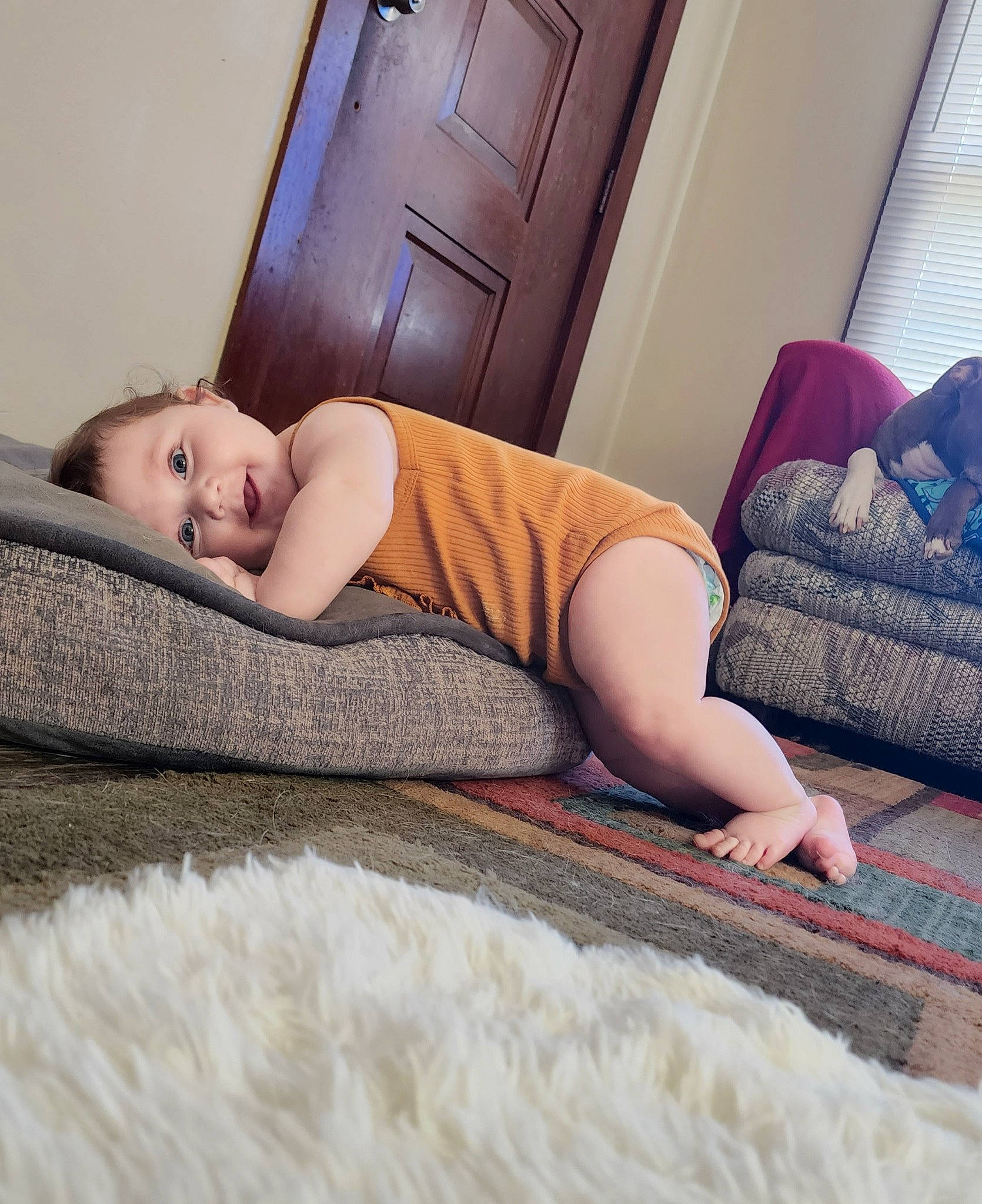Elara is registered to the contest to win money with this photo: baby, baby_sleeping, baby_toddler_clothing, beauty, bed, bedding, child, comfort, couch, floor, flooring, furniture, hardwood, knee, linens, person, pink, skin, thigh, toddler