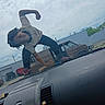 Ta'Ron is registered to the contest to win money with this photo: child, smiling, car_hood, outdoor, cloudy_sky, van, person, playful, black_hair, sneakers, tshirt, pants, parking_lot, vehicle, urban, daytime, fun, joyful, portrait, active