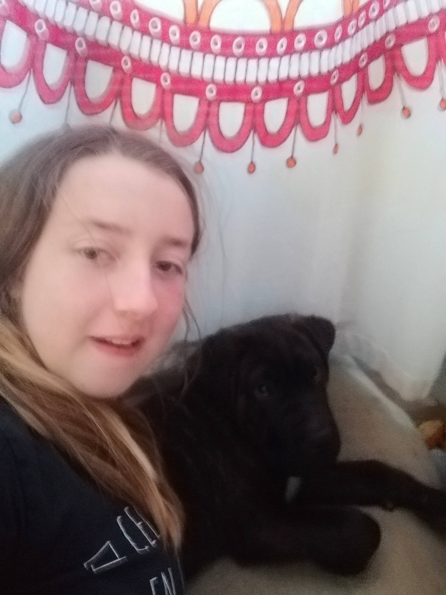 Apollo a rejoint le concours — aidez-le/la à gagner de superbes lots ! black_cat, black_hair, canidae, carnivore, cat, cheek, ear, eyebrow, felidae, fur, hair, happy, lip, long_hair, mouth, nose, puppy, selfie, skin, smile