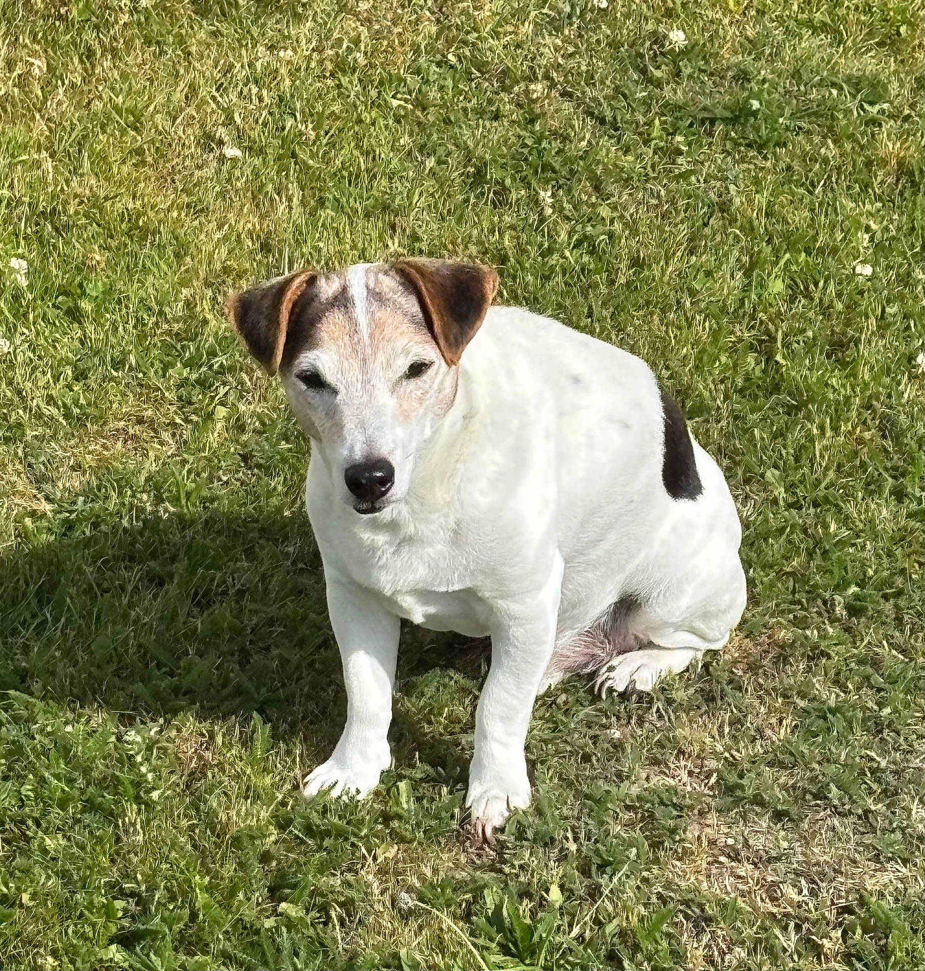 Tyson