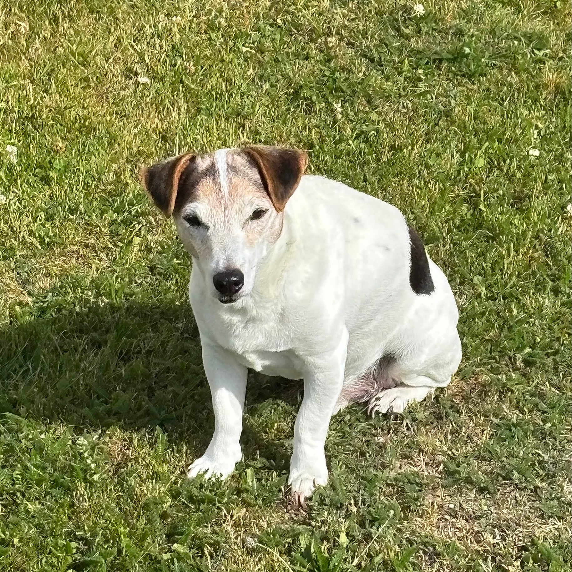 Tyson