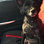 Jericho is registered to the contest to win money with this photo: