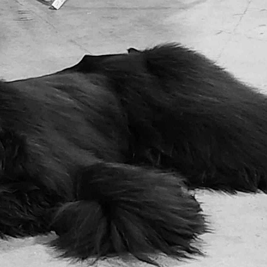 Loki