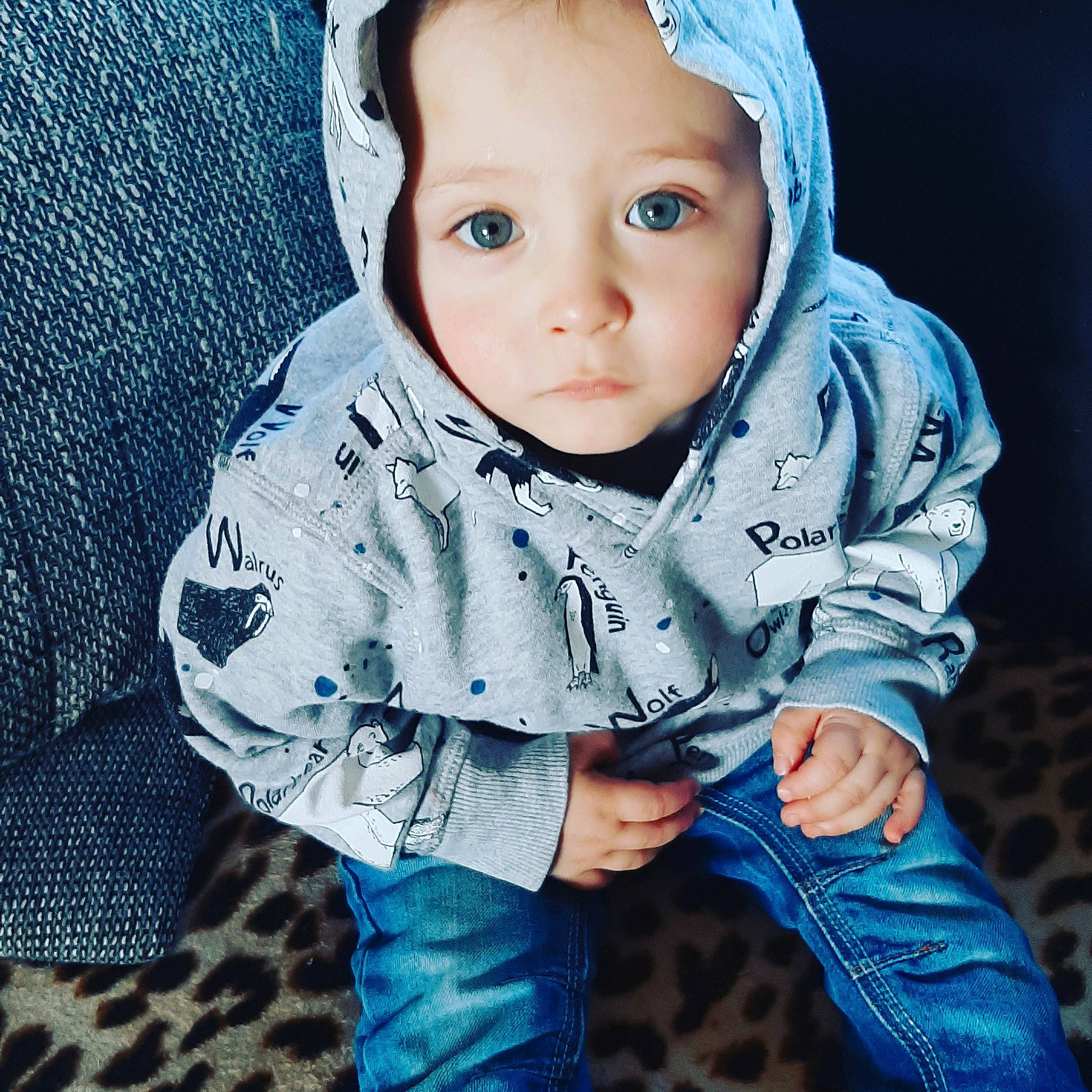 Kylian participe au concours pour gagner de l'argent avec cette photo : azure, baby, baby_toddler_clothing, blue, cheek, collar, cool, eye, facial_expression, flash_photography, hairstyle, happy, iris, lip, nose, outerwear, person, skin, sleeve, textile