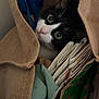 cat, tuxedo_cat, burlap_bag, fabric, papers, curious, wide_eyes, indoor, closeup, pet, hiding, container, folded_papers, colorful_fabric, texture, black_and_white, whiskers, ears, nose, soft_light