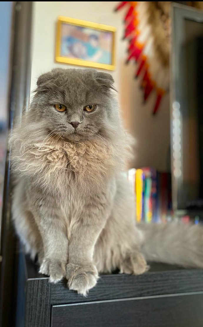 Berlioz