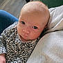 baby, infant, child, face, eyes, onesie, leopard_print, clothing, portrait, close_up, indoors, sofa, pillow, hand, head, skin, gaze, expression, cute, newborn