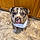 Luckie