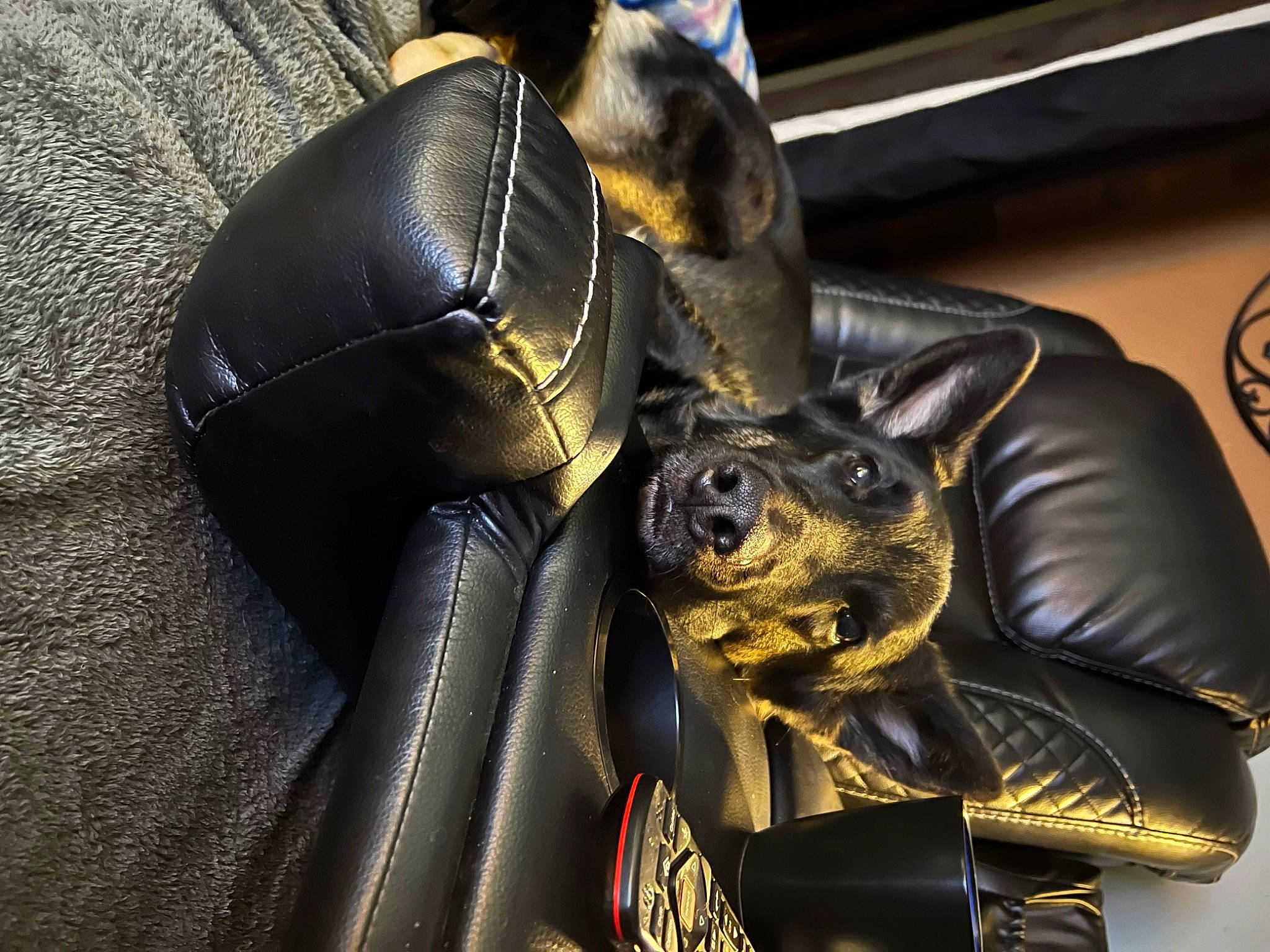 Zena is registered to the contest to win money with this photo: art, auto_part, automotive_design, automotive_exterior, bat, bronze, bronze_sculpture, fashion_accessory, fictional_character, fur, leather, luxury_vehicle, metal, motor_vehicle, personal_protective_equipment, sculpture, snout, statue, steering_wheel, vehicle_door