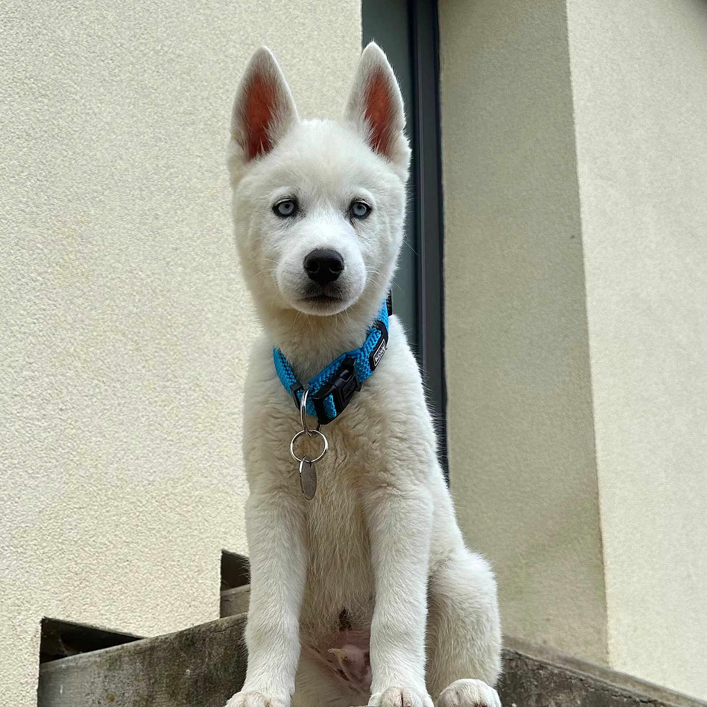 Ares