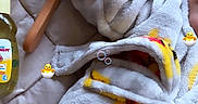 Brayden is registered to the contest to win money with this photo: baby, infant, child, foot, blanket, bathrobe, towel, wooden_brush, baby_products, lotion, bubbles, bed, bedding, cozy, indoor, portraitless, duck_theme, chick_stickers, text, vertical_photo