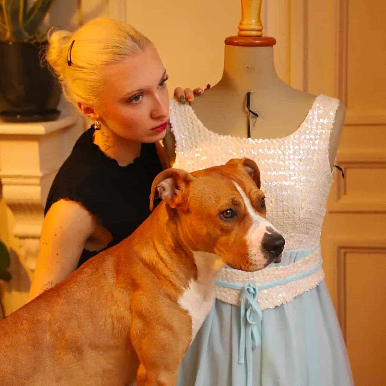 Dakota a rejoint le concours — aidez-le/la à gagner de superbes lots ! woman, dog, mannequin, dress, blonde_hair, indoor, fashion, pet, brown_dog, white_dress, blue_dress, plant, earrings, portrait, curious, looking, furniture, hairstyle, decor, closeup
