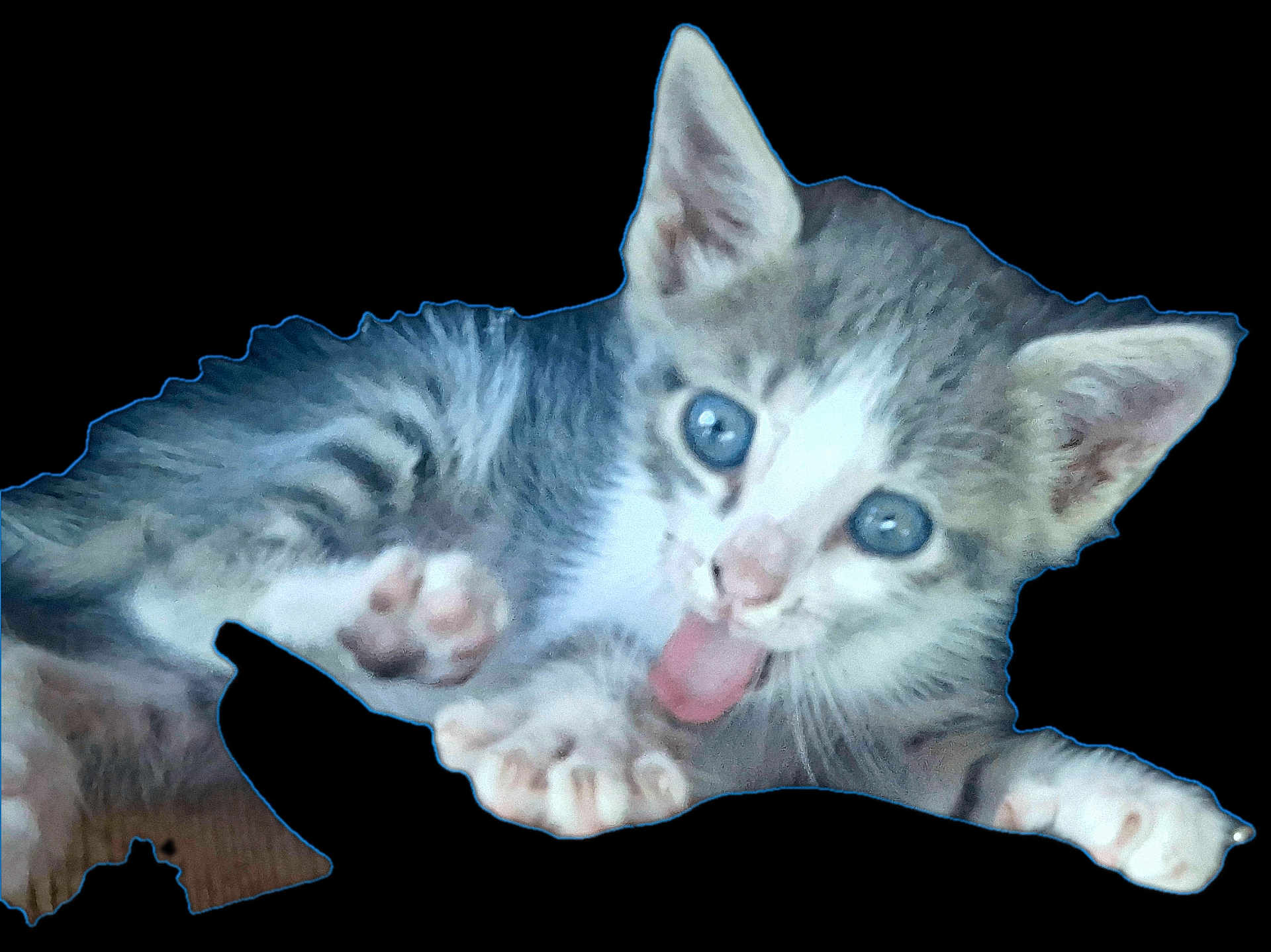 Youna participe au concours pour gagner de l'argent avec cette photo : animal, blue_eyes, cat, claws, cute, domestic_cat, ears, feline, fur, isolated, kitten, mammal, paw, pet, playful, small, striped, tongue_out, whiskers, young