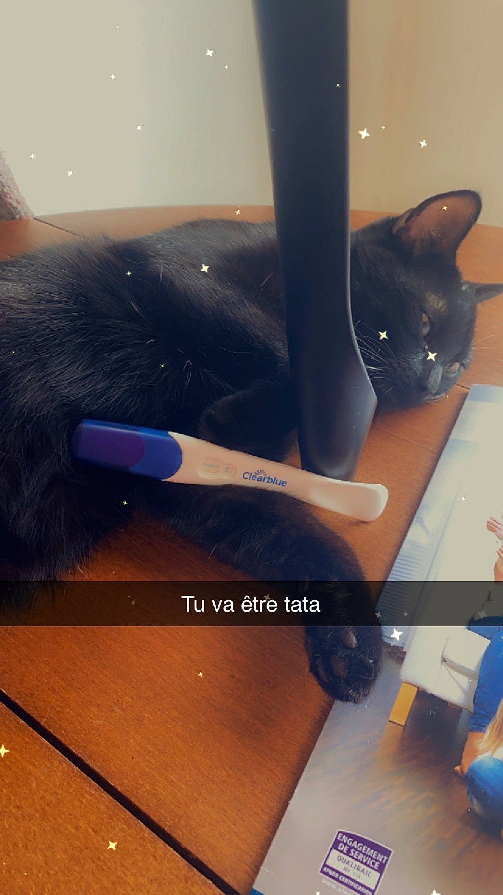 Niglo a rejoint le concours — aidez-le/la à gagner de superbes lots ! audio_equipment, automotive_exterior, carnivore, cat, electric_blue, electronic_device, felidae, flooring, font, gadget, hardwood, human_leg, material_property, metal, plywood, small_to_medium_sized_cats, tail, vehicle_door, whiskers, wood