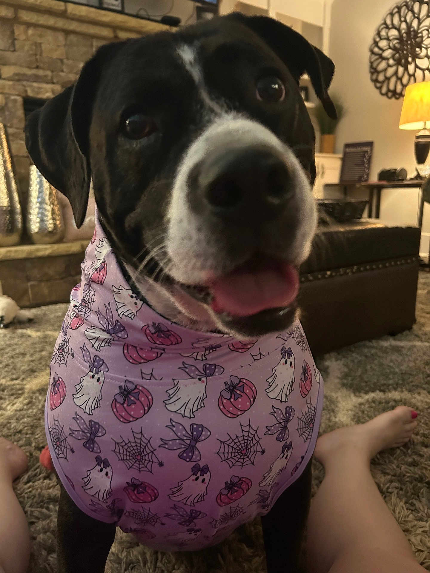 Gemma