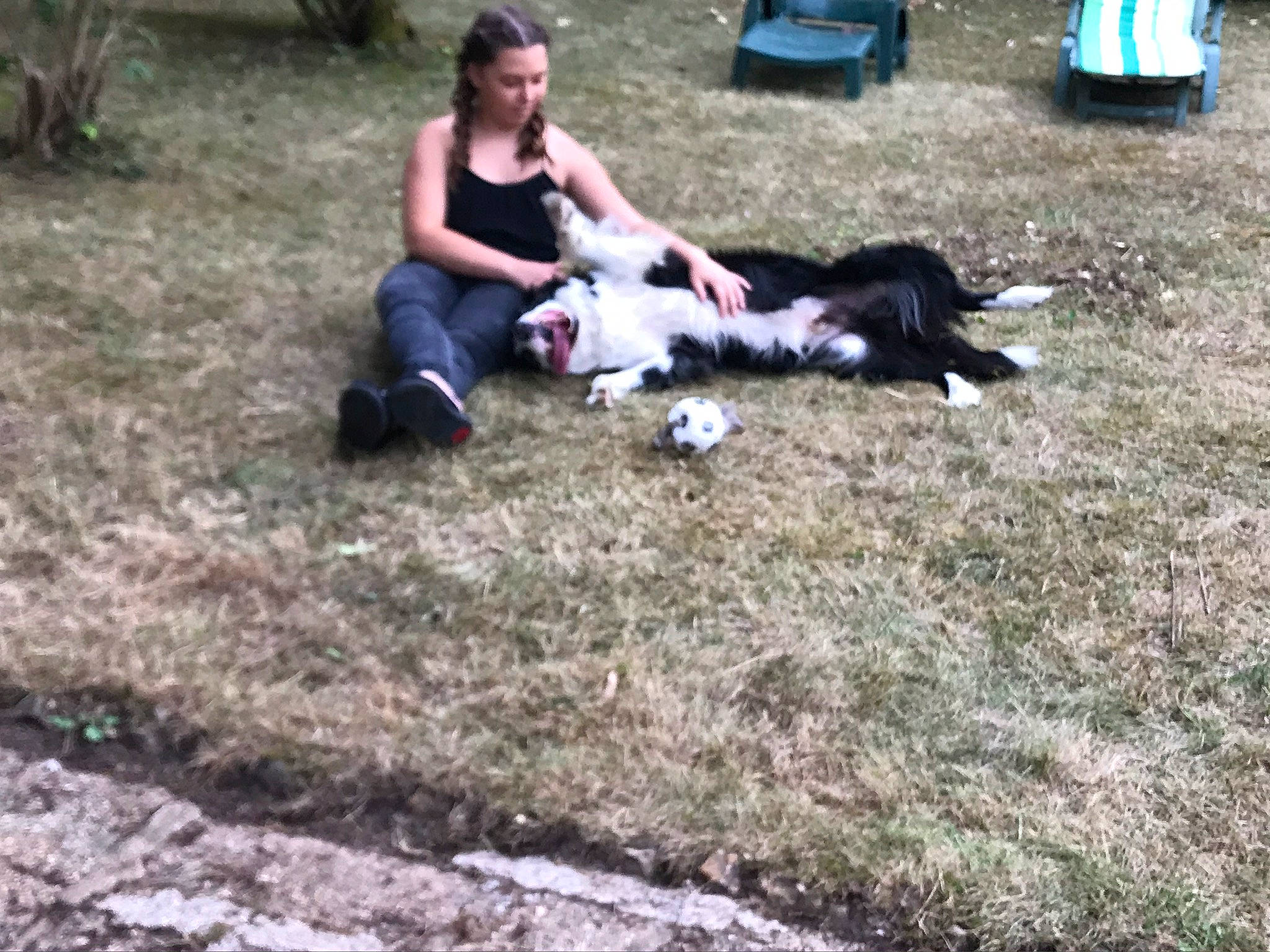 Michoko participe au concours pour gagner de l'argent avec cette photo : bag, chair, companion_dog, dog_breed, event, fun, grass, lap, lawn, leisure, luggage_and_bags, recreation, shorts, sitting, soil, t_shirt, yard