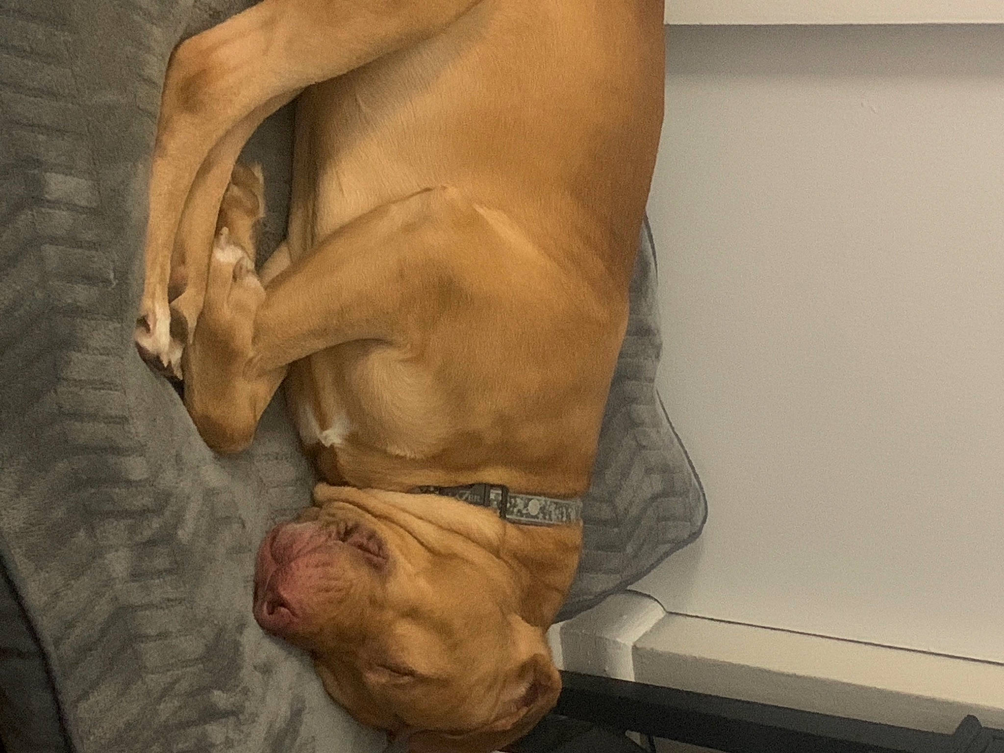 Kylo joined the competition — help win amazing prizes! abdomen, art, artifact, barefoot, chest, elbow, finger, foot, gesture, hand, human_body, human_leg, jaw, knee, neck, thigh, trunk, wood, wrinkle, wrist