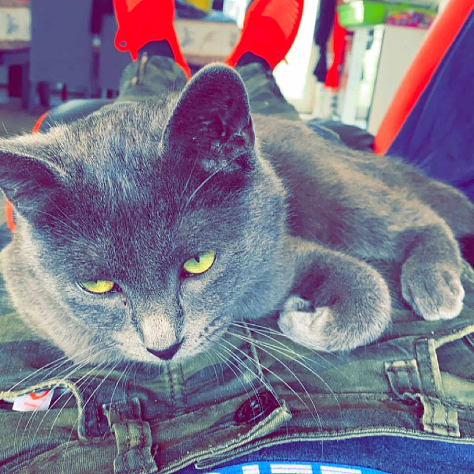 Salomé