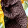 Cleo