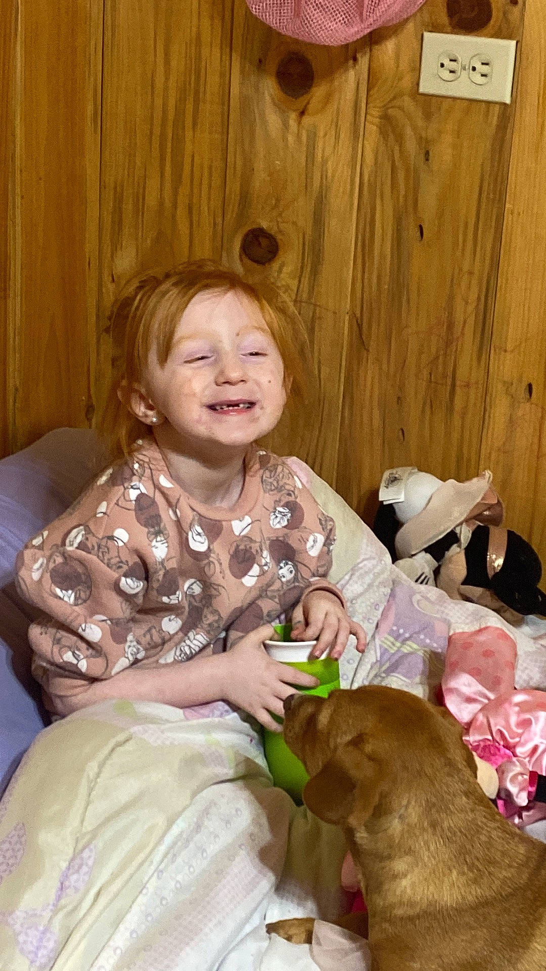 Isabelle is registered to the contest to win money with this photo: child, christmas, christmas_eve, comfort, companion_dog, dog, event, fun, fur, gun_dog, happy, holiday, joy, lap, laugh, person, room, sitting, smile, toddler